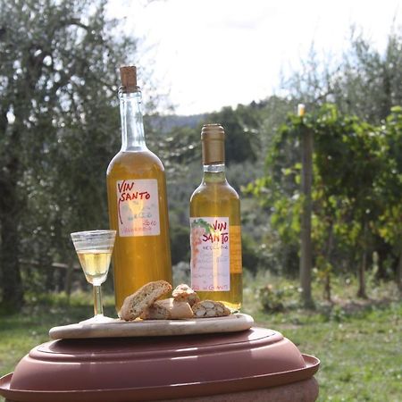 Готель Agriturismo Podere Somigli Di Lorenzo Correani Греве-ін-К'янті Екстер'єр фото
