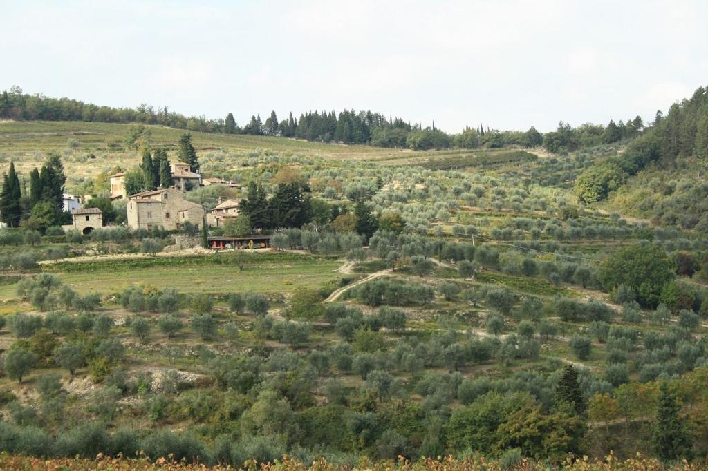 Готель Agriturismo Podere Somigli Di Lorenzo Correani Греве-ін-К'янті Екстер'єр фото