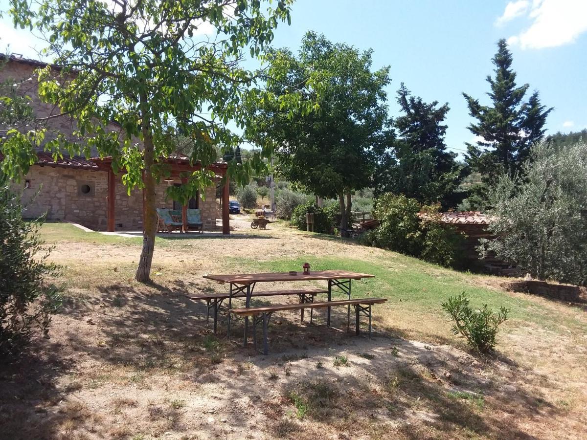 Готель Agriturismo Podere Somigli Di Lorenzo Correani Греве-ін-К'янті Екстер'єр фото