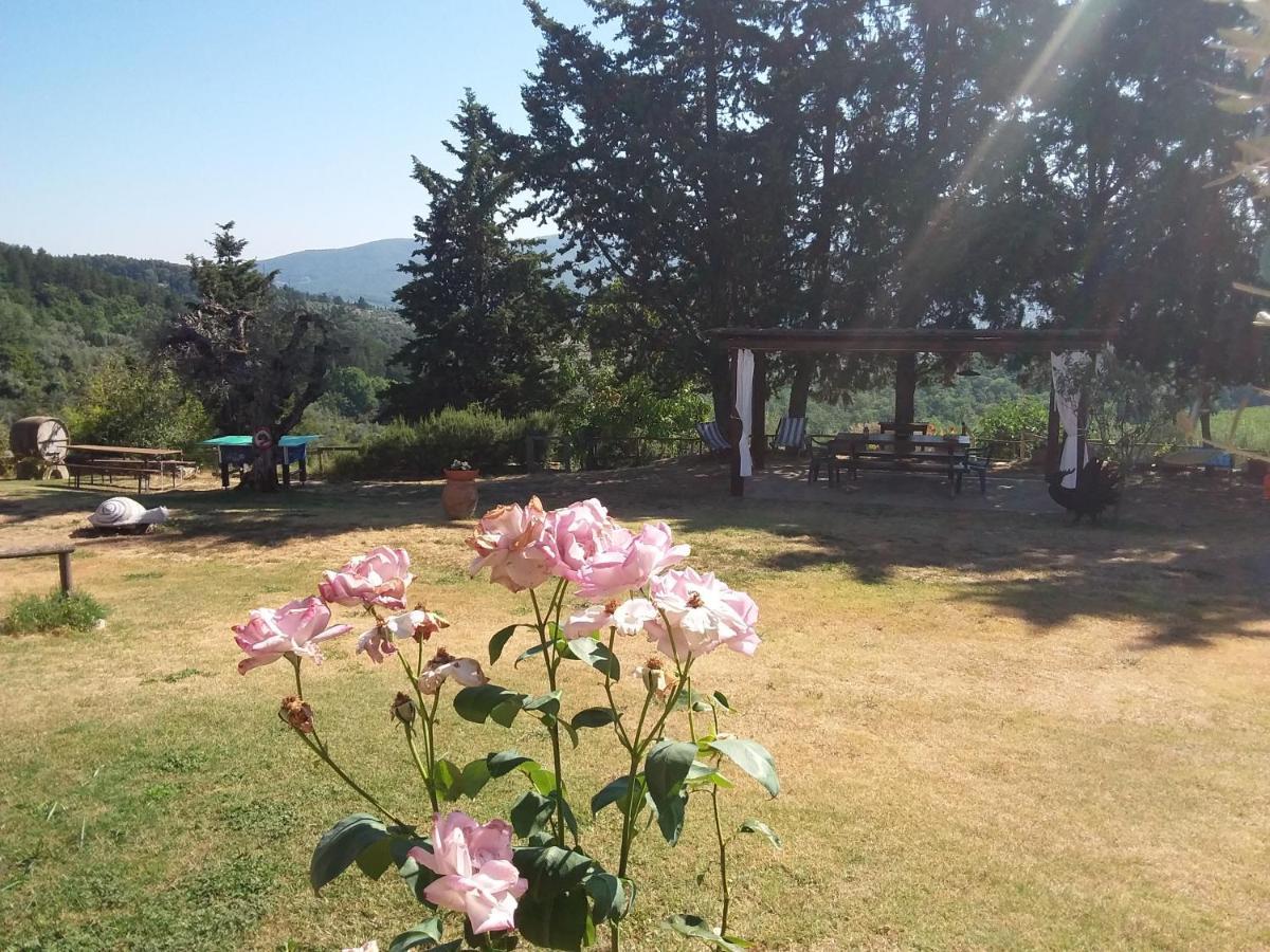 Готель Agriturismo Podere Somigli Di Lorenzo Correani Греве-ін-К'янті Екстер'єр фото