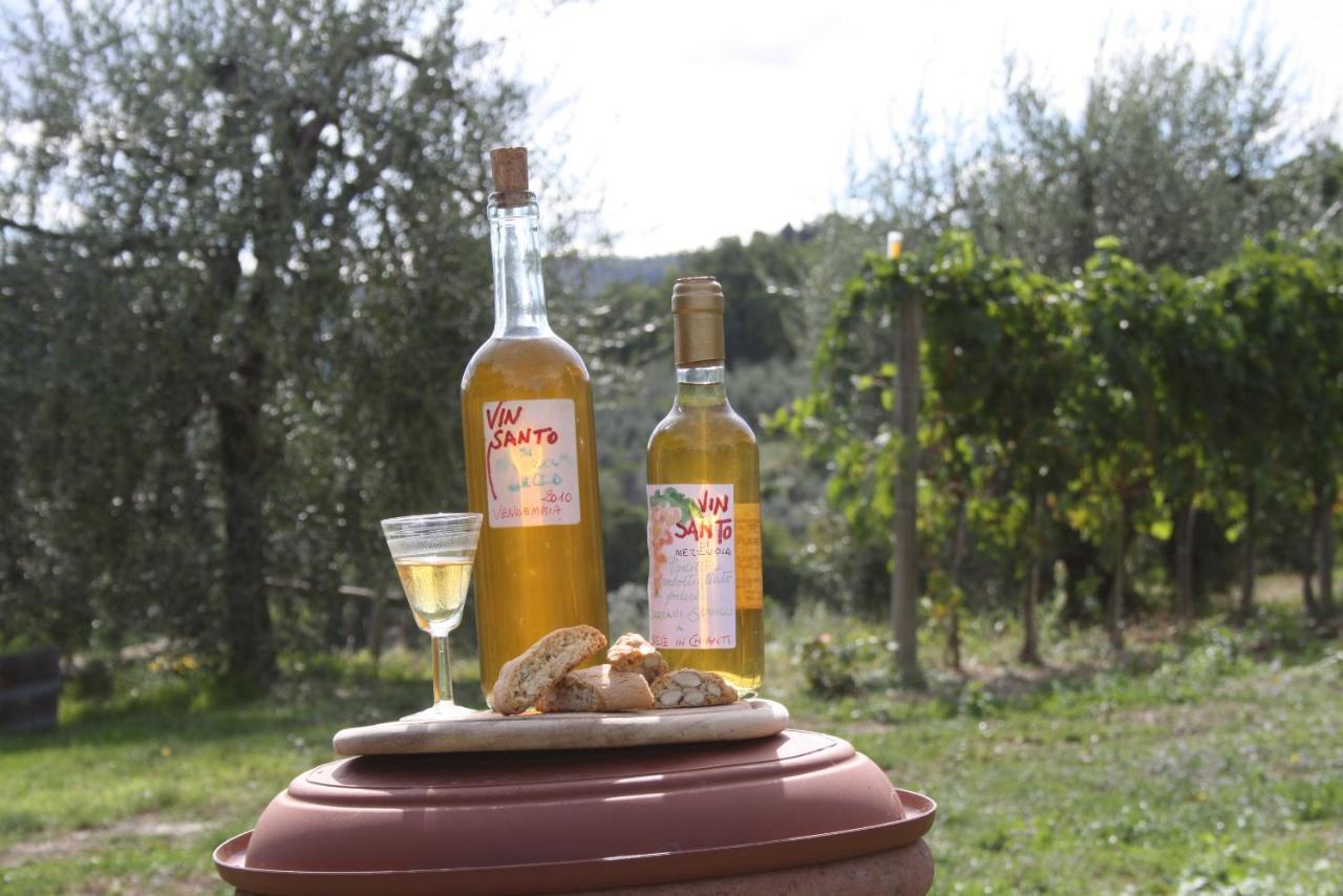 Готель Agriturismo Podere Somigli Di Lorenzo Correani Греве-ін-К'янті Екстер'єр фото